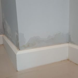 Water Leak Detectors